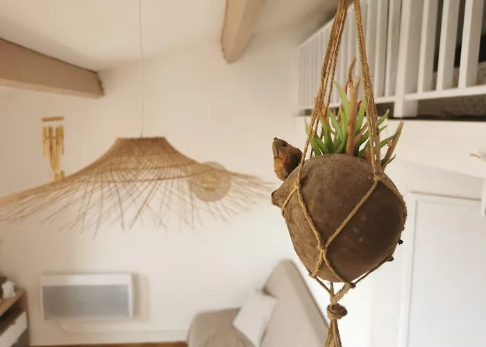 Apartament Mezzanine Avec Vue Magnifique Sur Le Canigou A Cap Coudalere - Piscine A Partir D'avril - Aire De Jeux D'enfants-terrain Multisport - Parking *